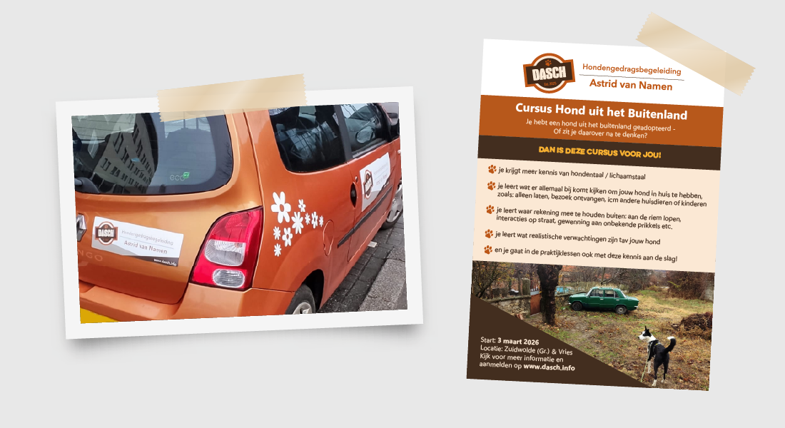 298 dasch extras flyer magneetsticker